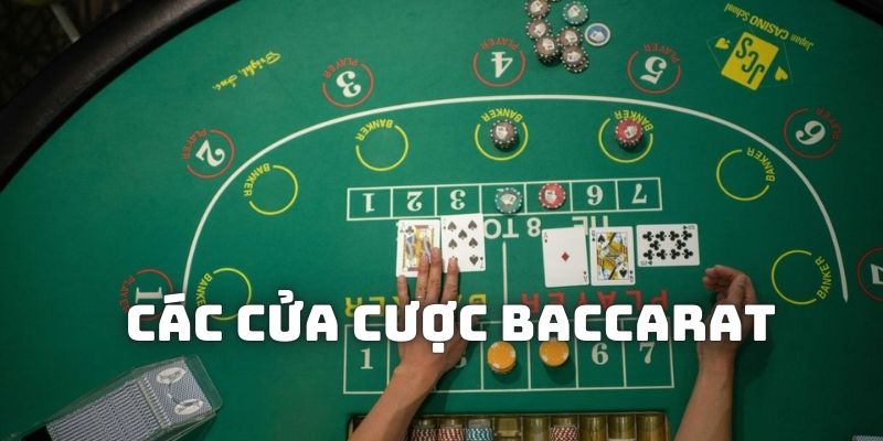 Các cửa cược trong game Baccarat là gì