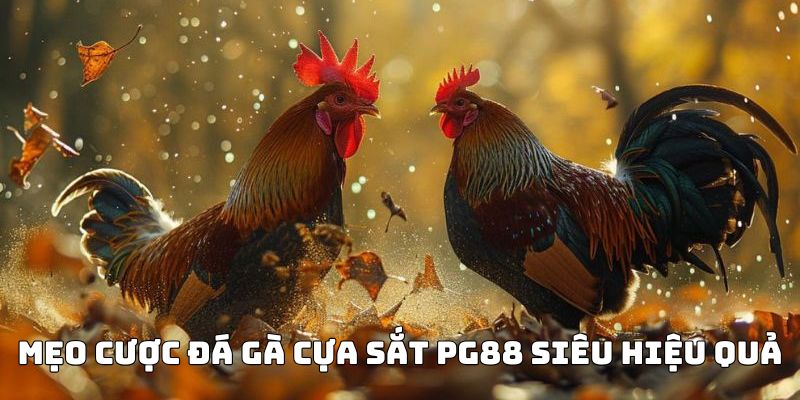 Mẹo cược Đá gà cựa sắt PG88 siêu hiệu quả