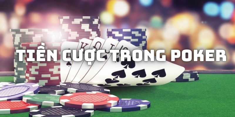 Quy định về tiền cược khi tham gia các ván bài Poker