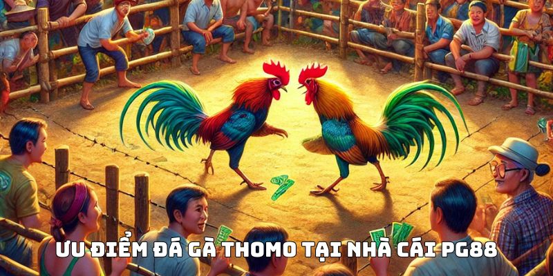 Ưu điểm Đá gà Thomo tại nhà cái PG88